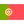 Selected Language Flag